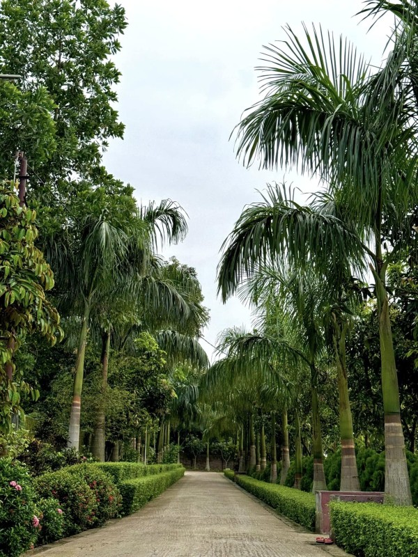 Hotel Image Gallery